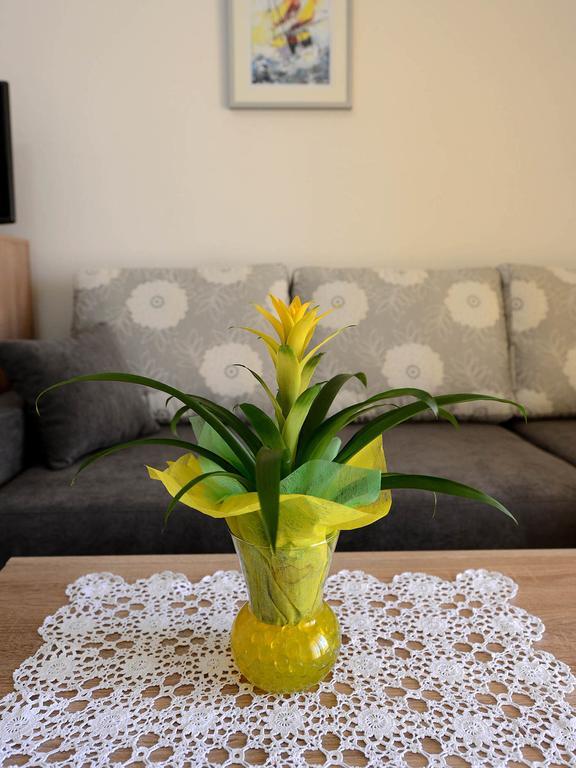 Apartman Adriana Ζαντάρ Εξωτερικό φωτογραφία